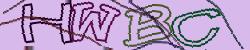 Reintroduceți codul CAPTCHA din imagine